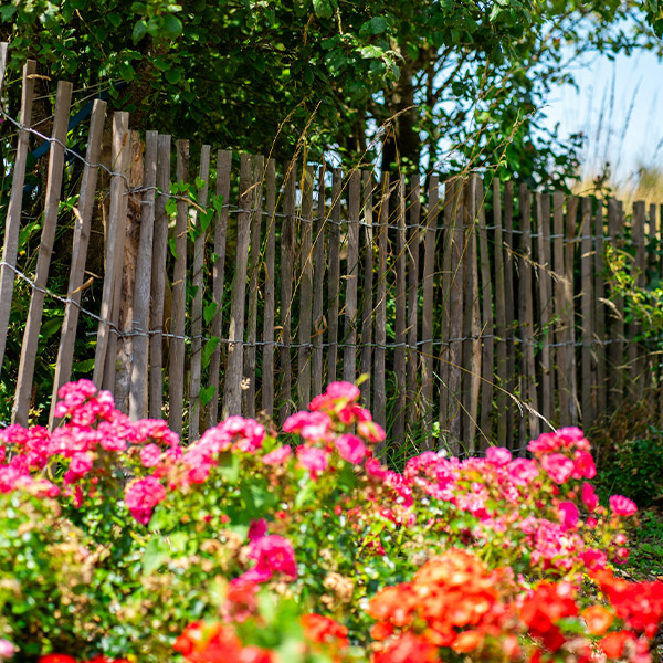 massif de fleurs et clôture en bois